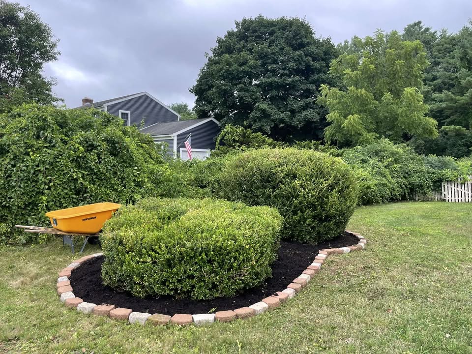 Mulching & rock installation after our crew finished the job
