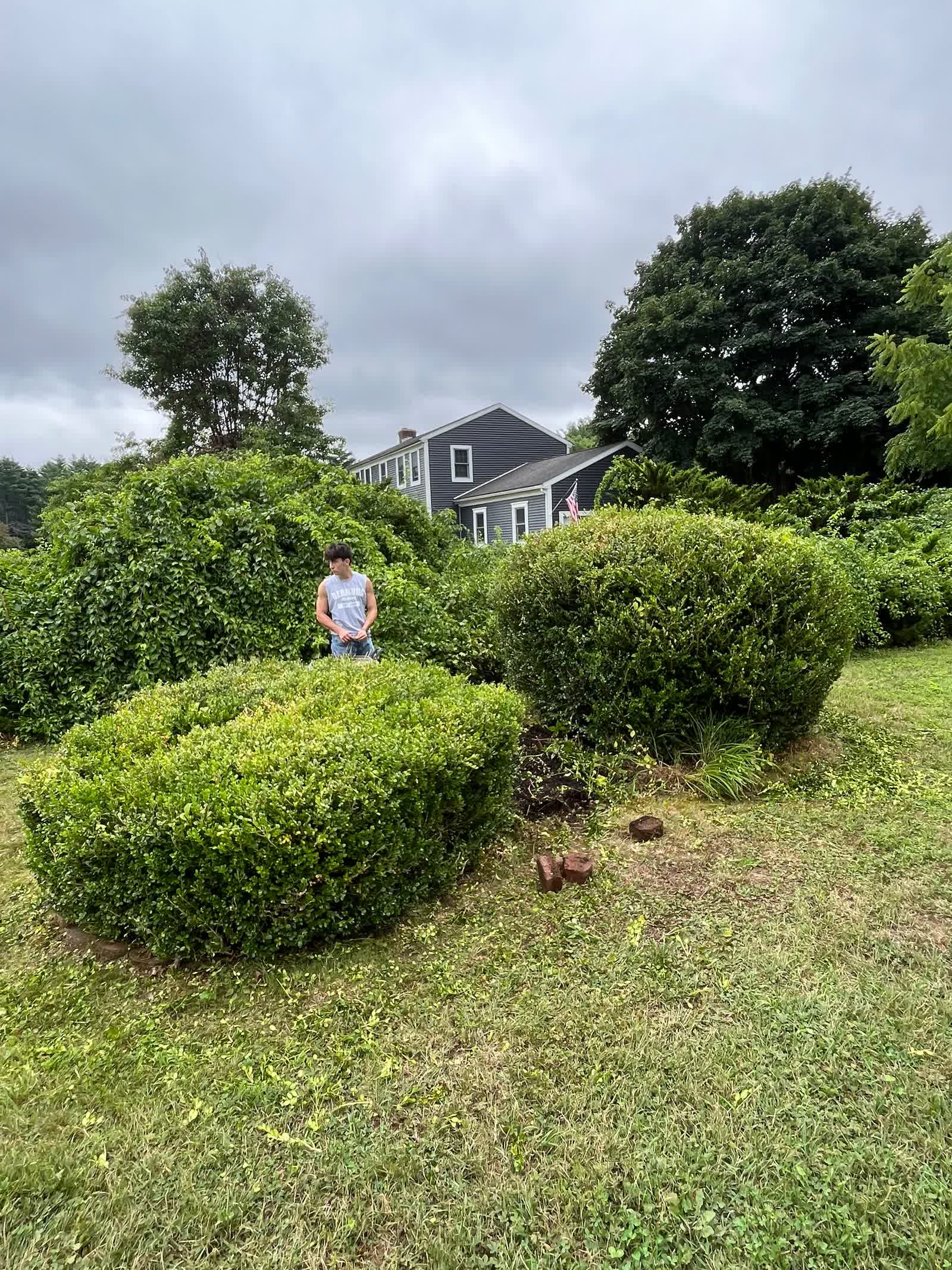 Mulching & rock installation before our crew started