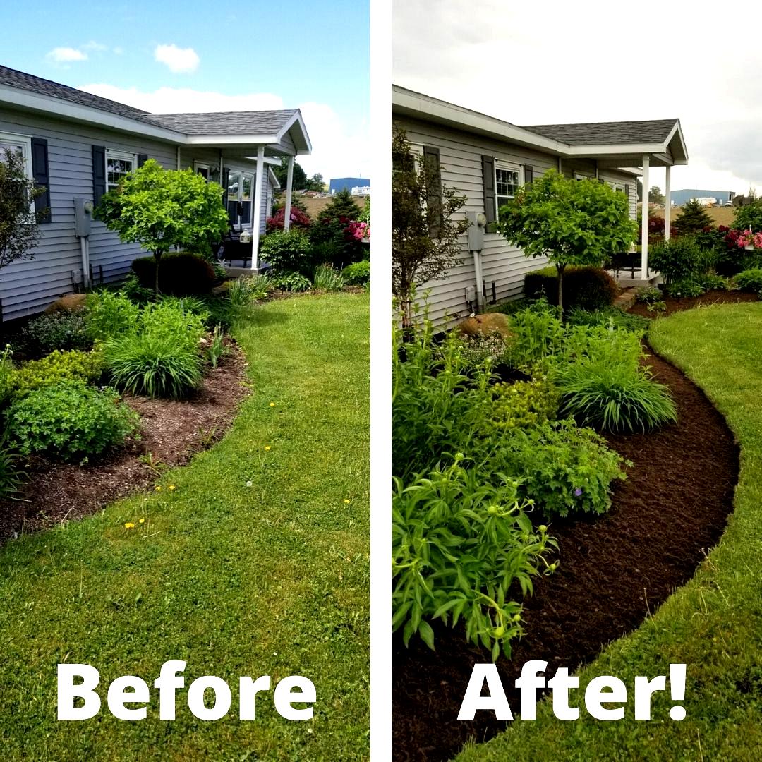 Backyard Transformation — Complete overhaul with new sod, plantings and hardscaping.